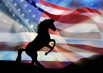 00 horse-and-american-flag-freedom-fourth-of-july-stephanie-laird.jpg