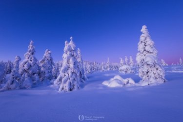 why-you-should-visit-norway-during-winter-4.jpg