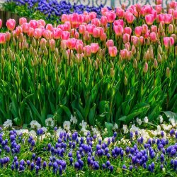 shutterstock_564556810-Colorful.jpg