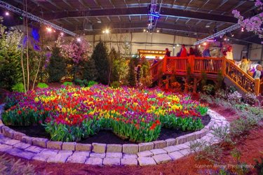vtflowershow19_saturday_161_of_177_.jpg