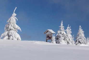 winter-1930565_960_720.jpg