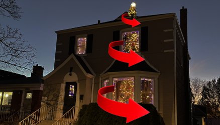 Meade Tree 12-2021 with Arrows.jpg