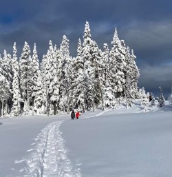 BC Alpine resort.jpg
