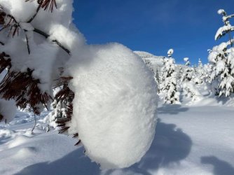 snow.jpg