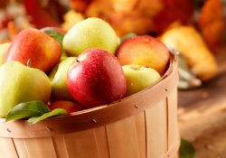 autumn-apples-600x420.jpg