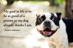 FB_IMG_1438133074002.jpg