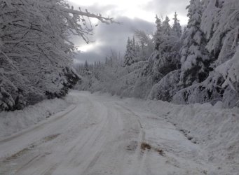trail 2.jpg