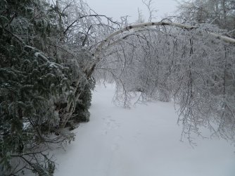 grants driveway.jpg