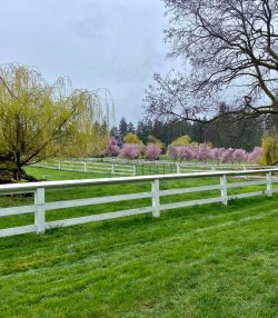 Beautiful countryside.jpg