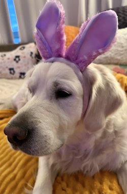 027D6130-6C2E-46A5-96D0-71BDF8870294.jpeg