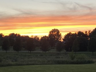 B334CEC8-4502-4E58-B46B-885B987AD07E.jpeg