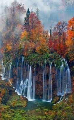 autumn colour.png