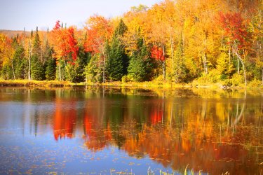fall color on a lake.jpg