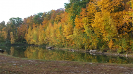 1661208558478.png