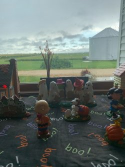 image1 (8).jpeg