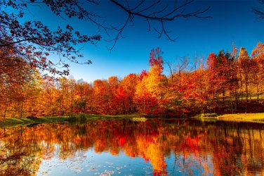 -fall-foliage.jpg