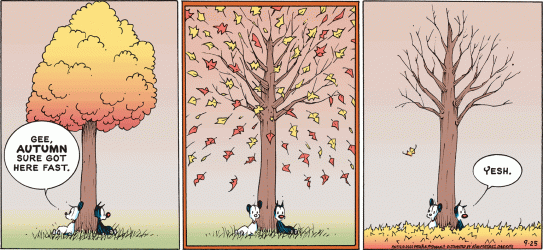 autumn.gif