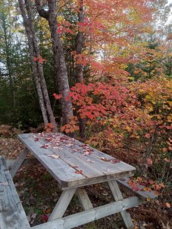 fall table.jpg