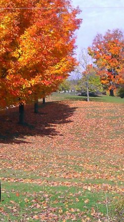 nl park.jpg