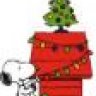 Ryan4Christmas