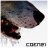 Coen