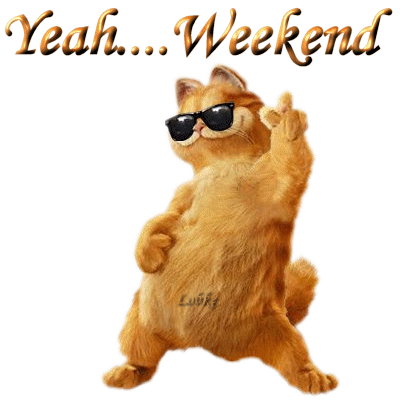 weekend.gif