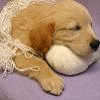 753664c9u665rpxc.gif