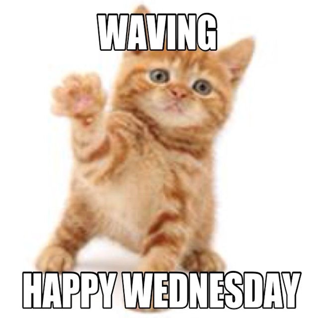 104619-Happy-Wednesday.jpg