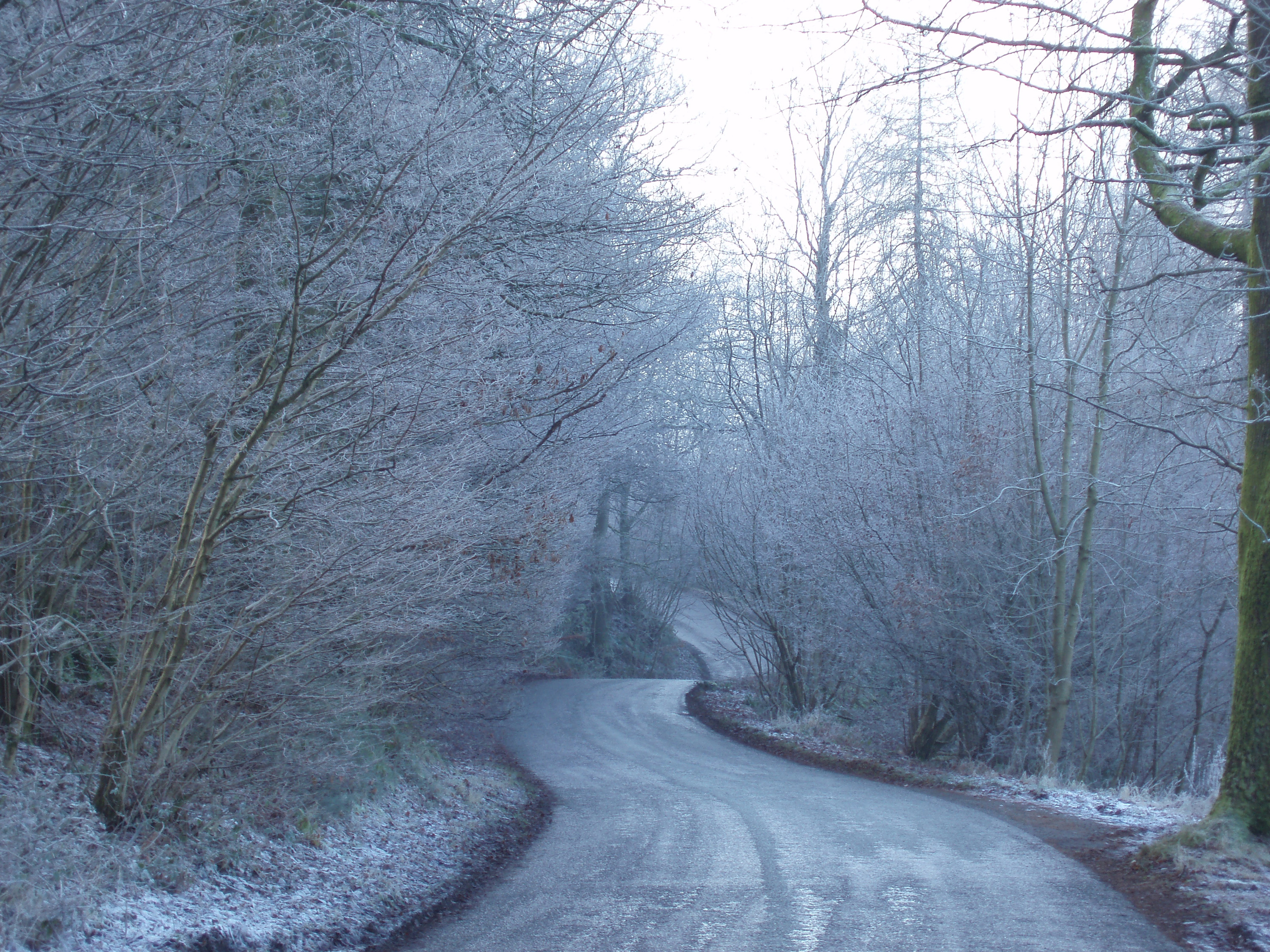 icy_country_road.jpg