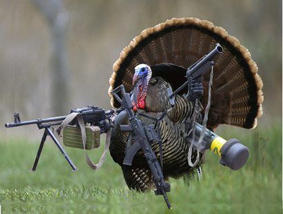 Herbert_H_Turkey_Guns_zpsjiarocnf.jpg