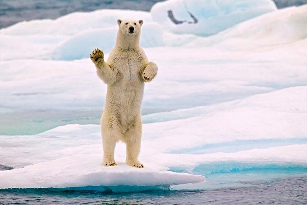 polar+wave.jpg