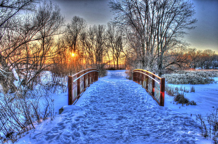 Winter-landscape-winter-41813275-700-461.jpg