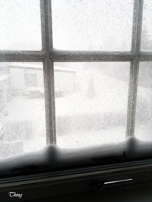 02042012656.jpg