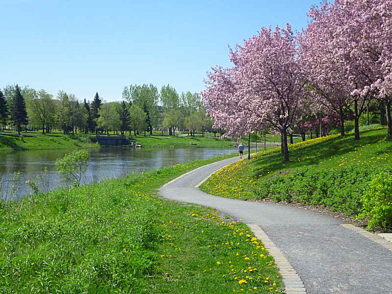 RiverSpring2011.jpg