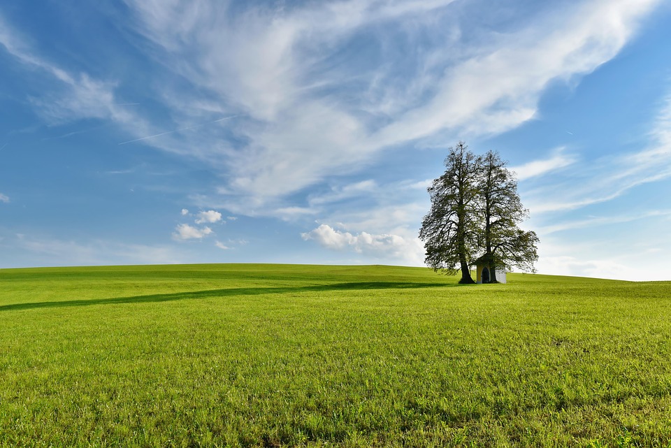 nature-3696409_960_720.jpg