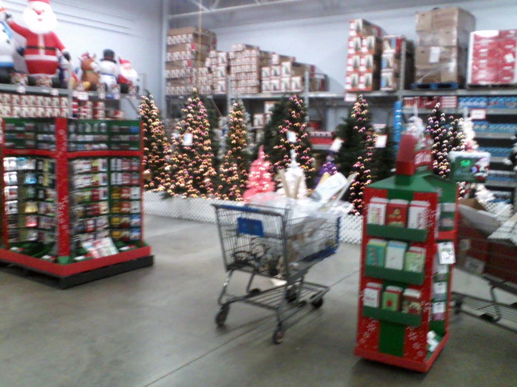 P11-02-12_1846.jpg