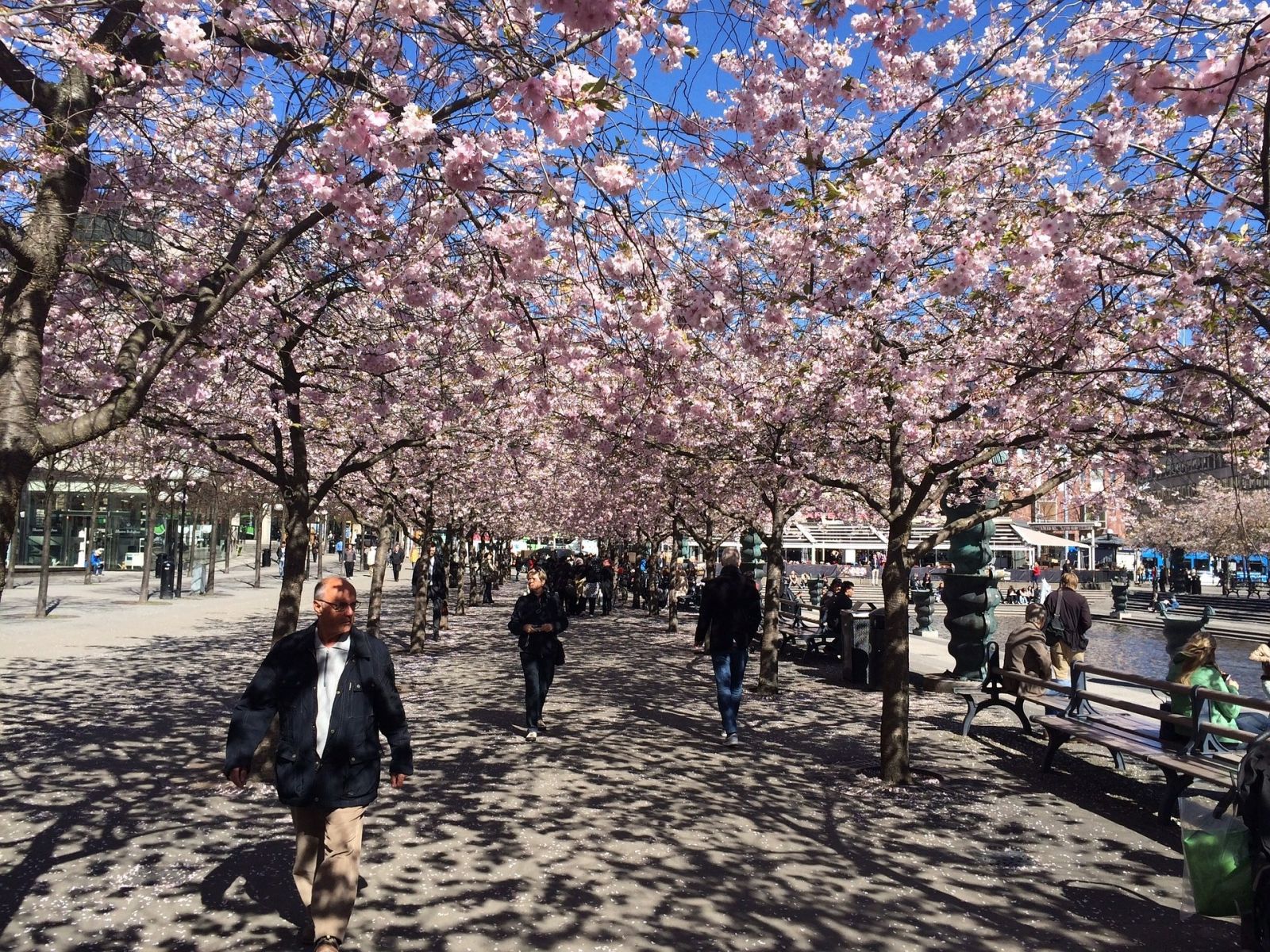 Sweden-spring-3.jpg