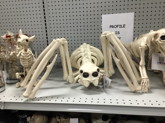 tumblr_oa5m8hfbTk1u736j4o1_540.jpg