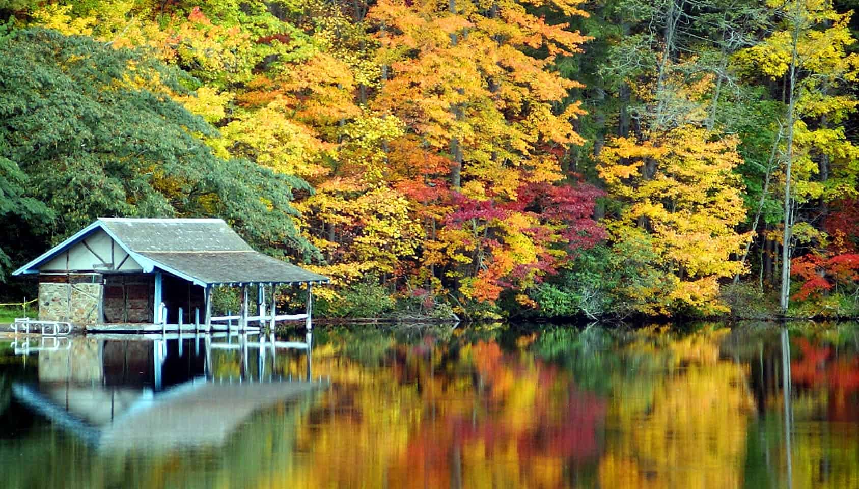 lake-logan-fall.jpg