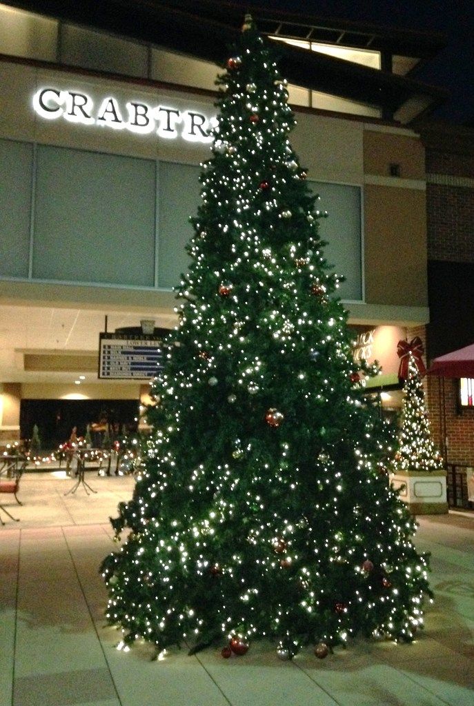 Crabtree%2037%20%2012-12-16_zpsywnaesvu.jpg