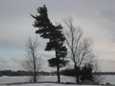 WinterLake015.jpg