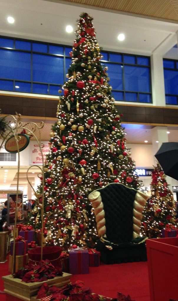 Charlotte%207%20%2012-12-15_zpsjbxckvwc.jpg