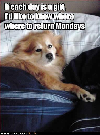 Monday-returns.jpg