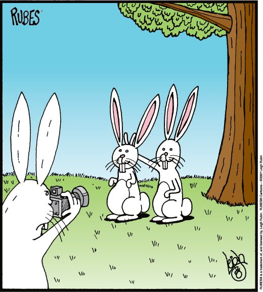 funny-bunny-ears.jpg