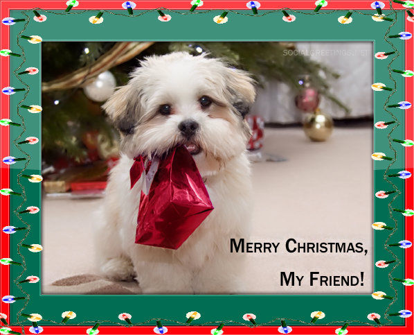 149571-Merry-Christmas-My-Friend.jpg