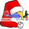 ChristmasBird.jpg