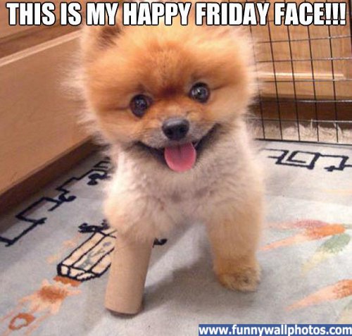 happy-friday.jpg
