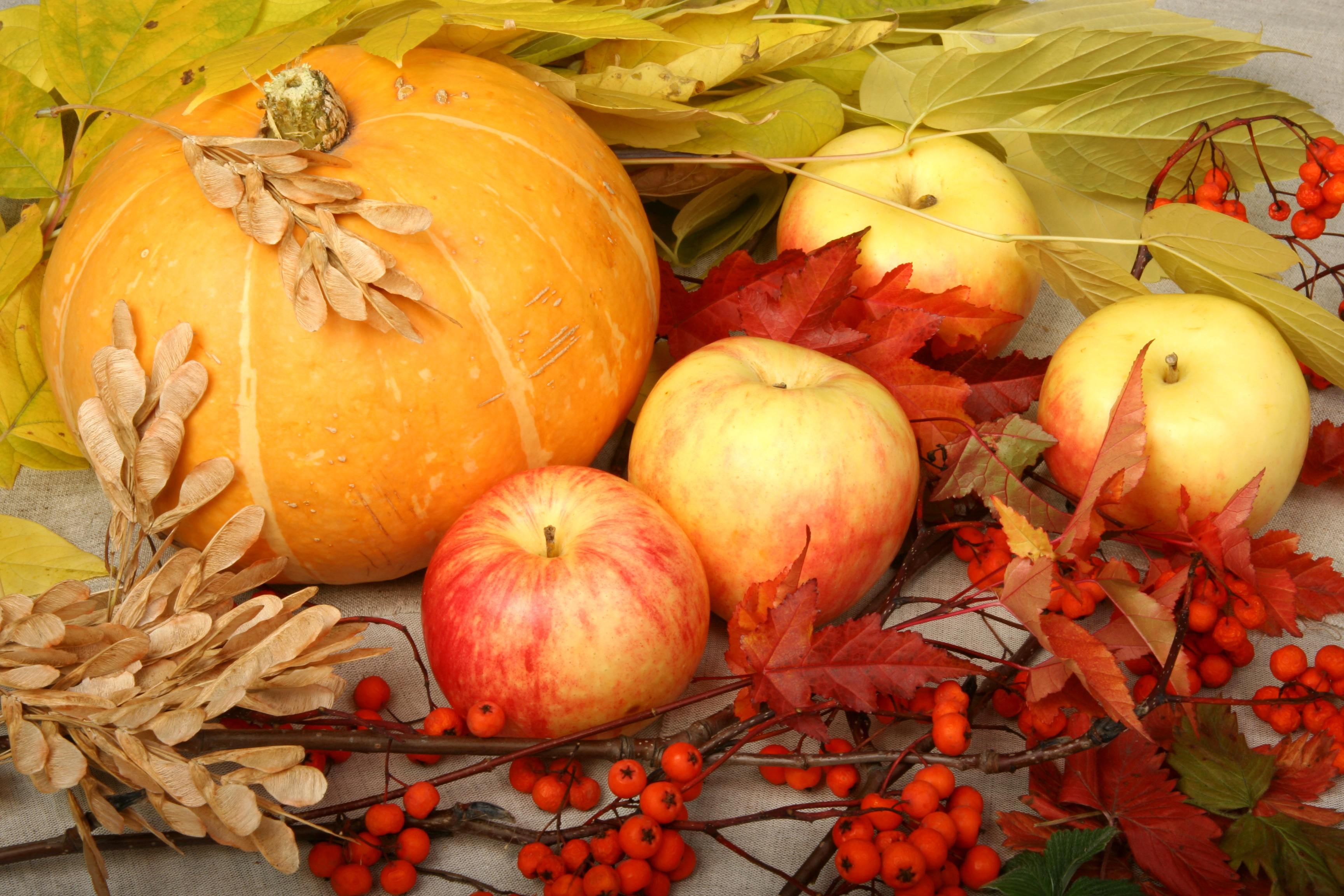 pumpkin-apples-autumn-leaves.jpg