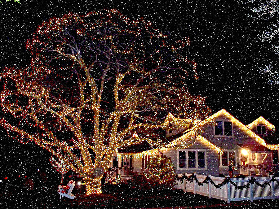 christmas-lights-in-snow-rick-todaro.jpg
