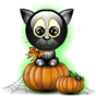black-kitty.gif